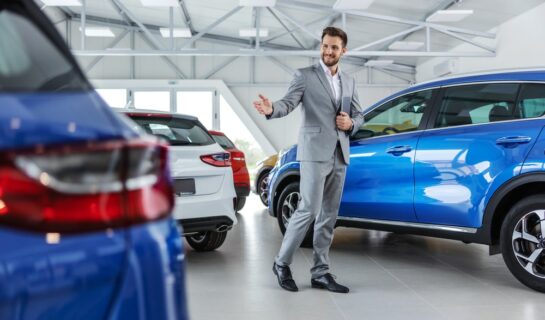 Fahrzeugkaufvertrag – Arglist Kfz-Verkäufer bei Anbringen falscher Umweltplakette
